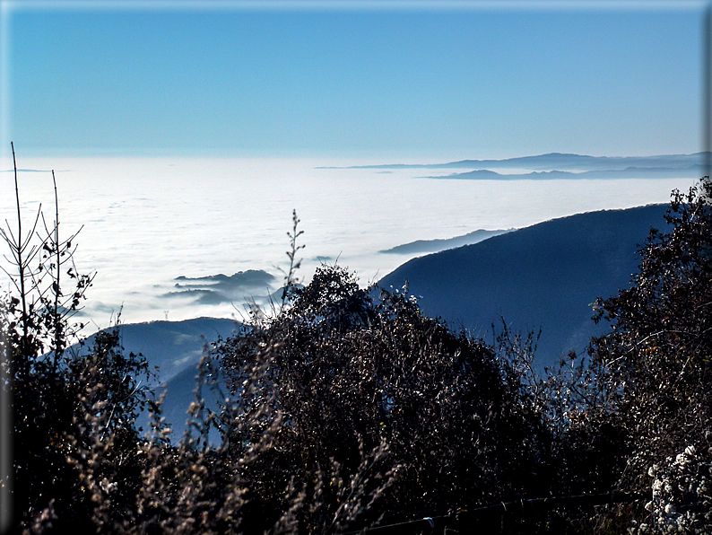 foto Pedemontana Veneta nella nebbia